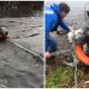 After Being Rescued from Floodwaters, Donkey Flashes Wide Grin from Ear to Ear