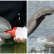 Ailing Irrawaddy Dolphin Recovers Gradually with Nourishing Tube-Feeding and Assistance from Many Individuals