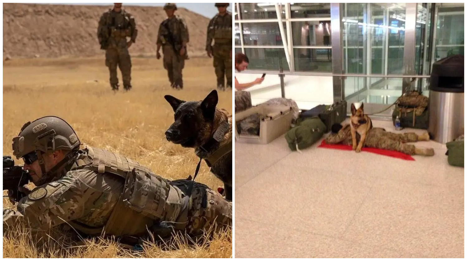 At the Airport, a Loyal Military Dog Watches over a Sleeping Soldier to Ensure His Safety