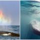 Blue Whale Blown Stunning Rainbow Heart, Making The Magical Moment