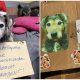 Box with Heartfelt Note Brings Tears to Everyone at Animal Shelter