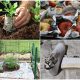 Clever Old Newspaper Tips for Home and Garden