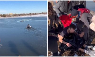 Crowd People Hurries to Help Man Who Plunged into Icy Lake to Rescue Distressed Dog