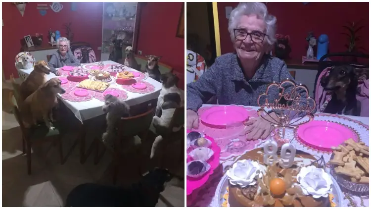Cute Dogs Celebrate Grandma's 89th Birthday with an Adorable Party