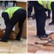 Defiant Dog Challenges Mall Security Guards and Gets Rewarded with Pets