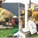 Determined Firefighter Rescues Puppy From Raging Fire