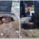 Dog Digging Large Hole Beneath Grave with The Reason Behind, Making The Internet Stunned