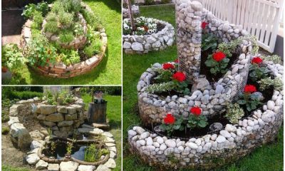 Easy DIY Spiral Herb Garden Ideas