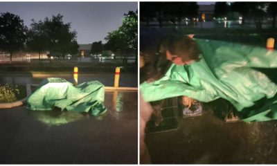 Heartbroken Moment When Rescuer Lifts Tarp and Unveiling the Enigmatic Secret Beneath