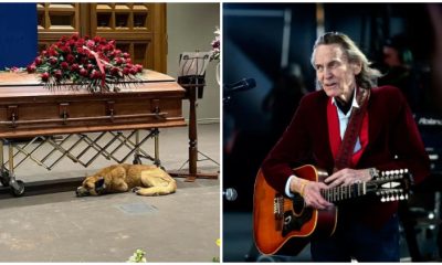 Heartwarming Moment Dog Curls Up Next To Gordon Lightfoot's Casket During Memorial Service