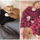 Heartwarming Moment Little Girl Sings 'You Are My Sunshine' To Her Dying Cat