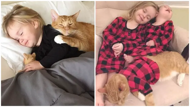 Heartwarming Moment Little Girl Sings 'You Are My Sunshine' To Her Dying Cat
