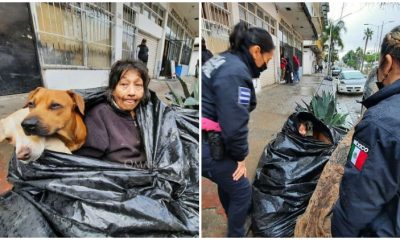 Homeless Woman With Six Dogs Was Found In A Garbage Bag But Refuses To Seek Help At A Shelter Because They Prohibit Pets