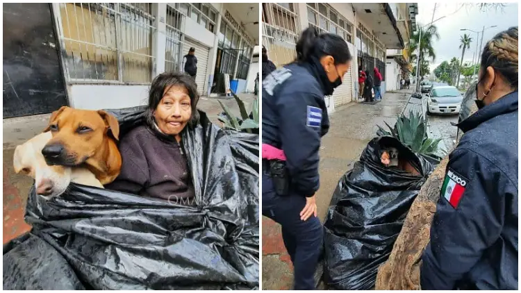 Homeless Woman With Six Dogs Was Found In A Garbage Bag But Refuses To Seek Help At A Shelter Because They Prohibit Pets