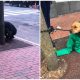 Kind Woman Helps Dog by Offering Her Jacket as He Waits Outside in Cold Weather