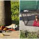 Little Puppy Finds Comfort on a Blanket Near a Hospital, Dreaming of Loving Forever Home