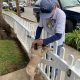 Lovely Dog Waits Outside Every Morning to Welcome His Favorite Mailwoman