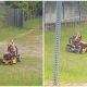 Man Catches Sight of an Unexpected Individual Mowing The Lawn and Does a Double Take in Surprise