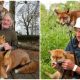 Man Saved Three Adorable Foxes and Developed an Incredible Connection with Them