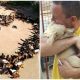 More Than 750 Dogs Are Being Cared For by a Dedicated Man at His Shelter