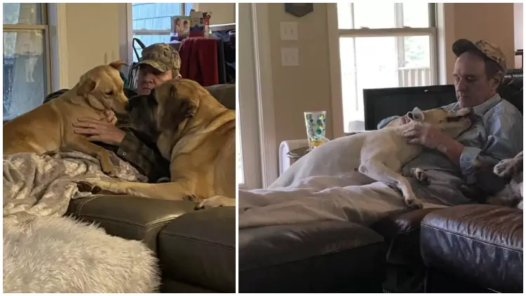 Neighbor Dogs Surrounded Dad As He Lounged On The Couch