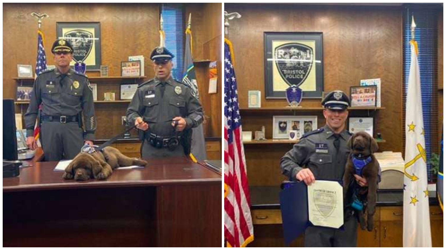 Police Therapy Puppy Takes a Nap During His Swearing-In Ceremony