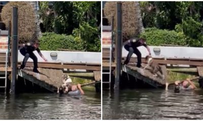 Poor Dog Drowning in a Canal Was Rescued by Heroic Police Women in a Split Second