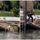 Poor Dog Drowning in a Canal Was Rescued by Heroic Police Women in a Split Second