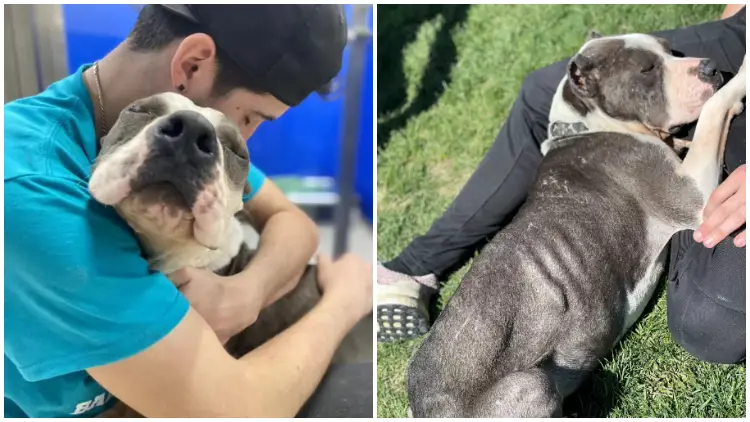 Shelter Dog Shows Gratitude to Rescuers with Heartfelt Hugs