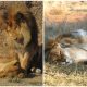 The Lion Husband Remained by His Sick Wife's Side until Her Final Moments