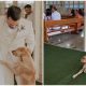 Uninvited Wedding Guest: Stray Dog Finds Forever Family with Newlyweds