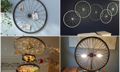 Unique Bicycle Wheel Ideas for The Next Home Decor Projects