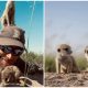 Wildlife Photographer Receives a Warm Reception from a Charming Family of Meerkats