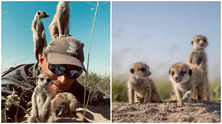 Wildlife Photographer Receives a Warm Reception from a Charming Family of Meerkats