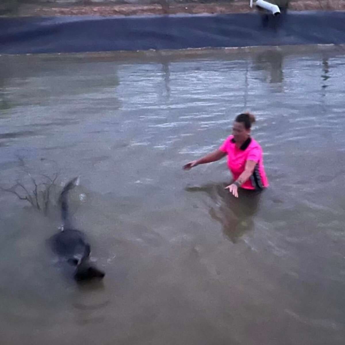 Woman Jumps into Freezing Canal to Rescue Someone Big
