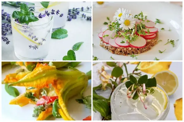 11 Beautiful Flowers That You Can Eat and Get Potential Health Benefits