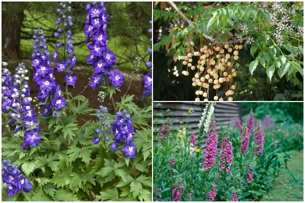 16 Dangerous Plants To Watch Out For In The Garden