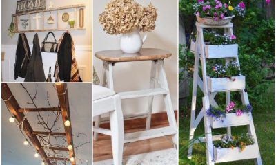 20 DIY Home Decor Projects Made from Old Ladders