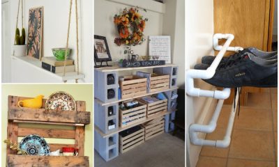 20 Unique and Budget-Friendly DIY Shelf Ideas