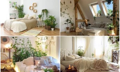 21 Gorgeous Bedroom Decorating Ideas with Plants