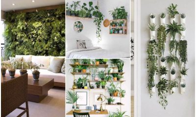 24 Greenery Home Decor Ideas