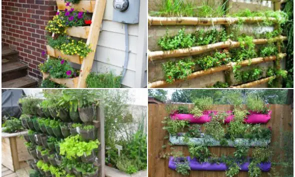 25 Easy-to-make Vertical Garden Ideas