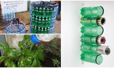 26 DIY Useful Plastic Bottle Ideas for The Home and Garden