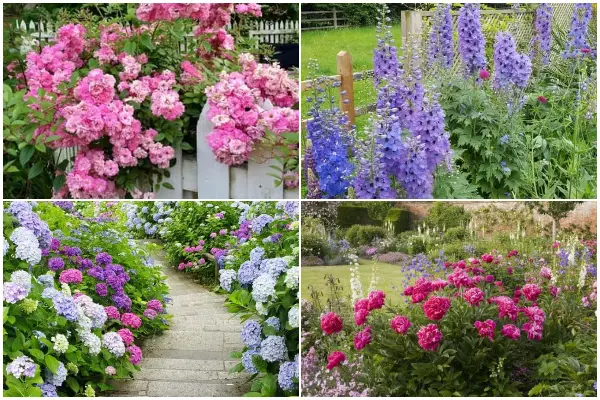 Beautiful Flowers for an English Landscaping Garden