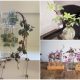 Beautiful Vining Houseplants That Grow Well in Water Environment