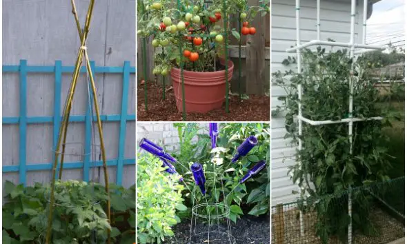 Easy and Cheap Tomato Cage Ideas