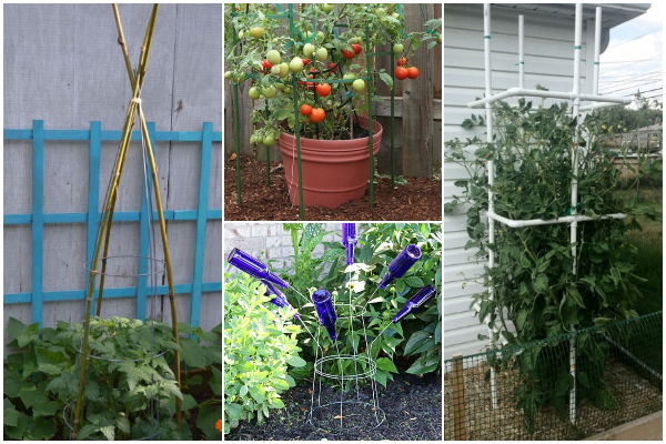 Easy and Cheap Tomato Cage Ideas