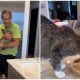 Family Celebrates 20th Birthday of Their Beloved Cat with a Special Party