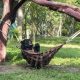 Meet Bouncer, the Bear with Three Legs, Who Loves Relaxing in His Favorite Hammock All Day