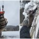 Rescuers Save Deer Trapped by Frozen Colorado Lake and Set Him Free in the Wild